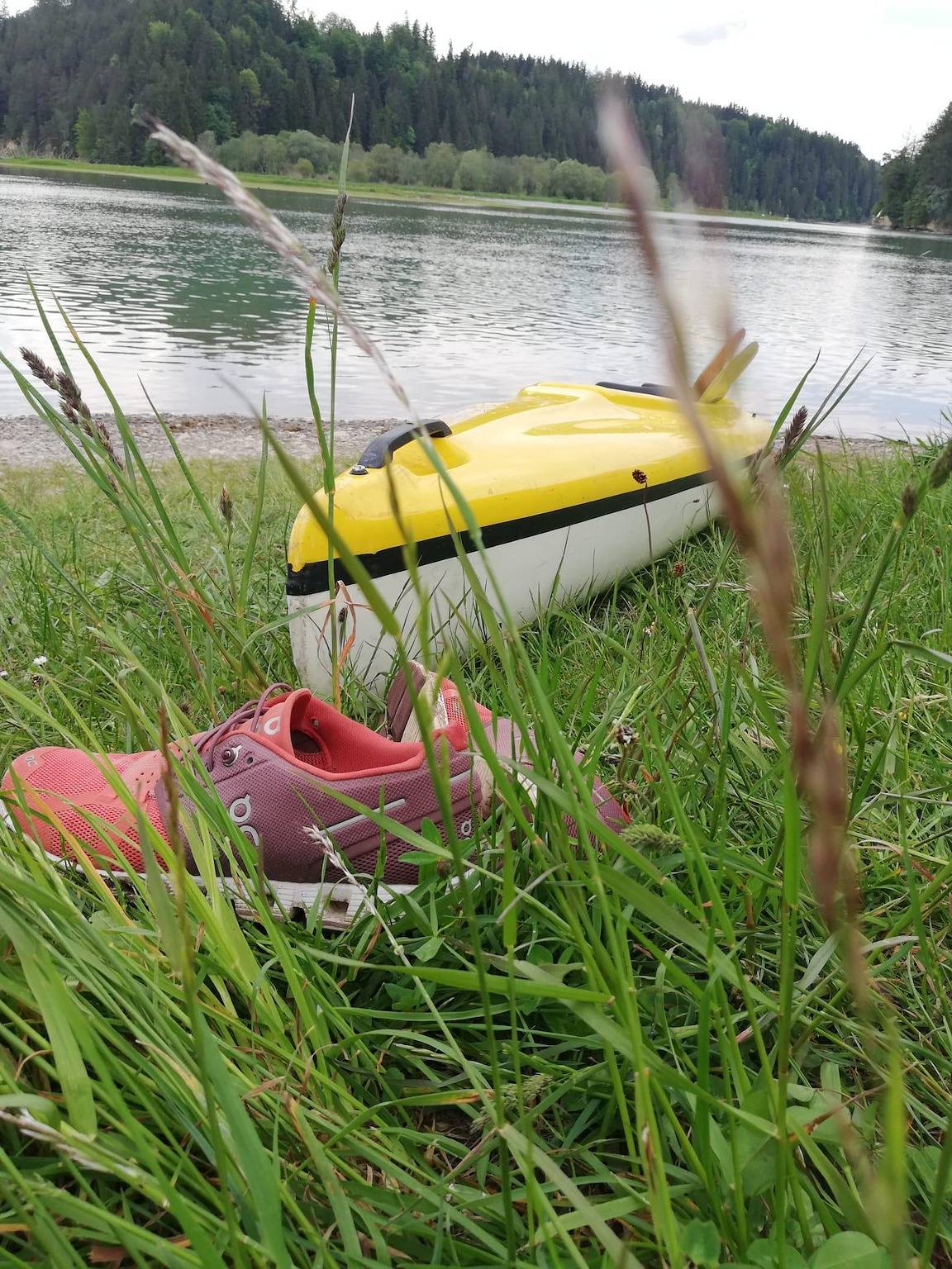 Ganze Ferienwohnung, Fewo/Du/Wc/1Sz in Halblech, Bayerisch Schwaben
