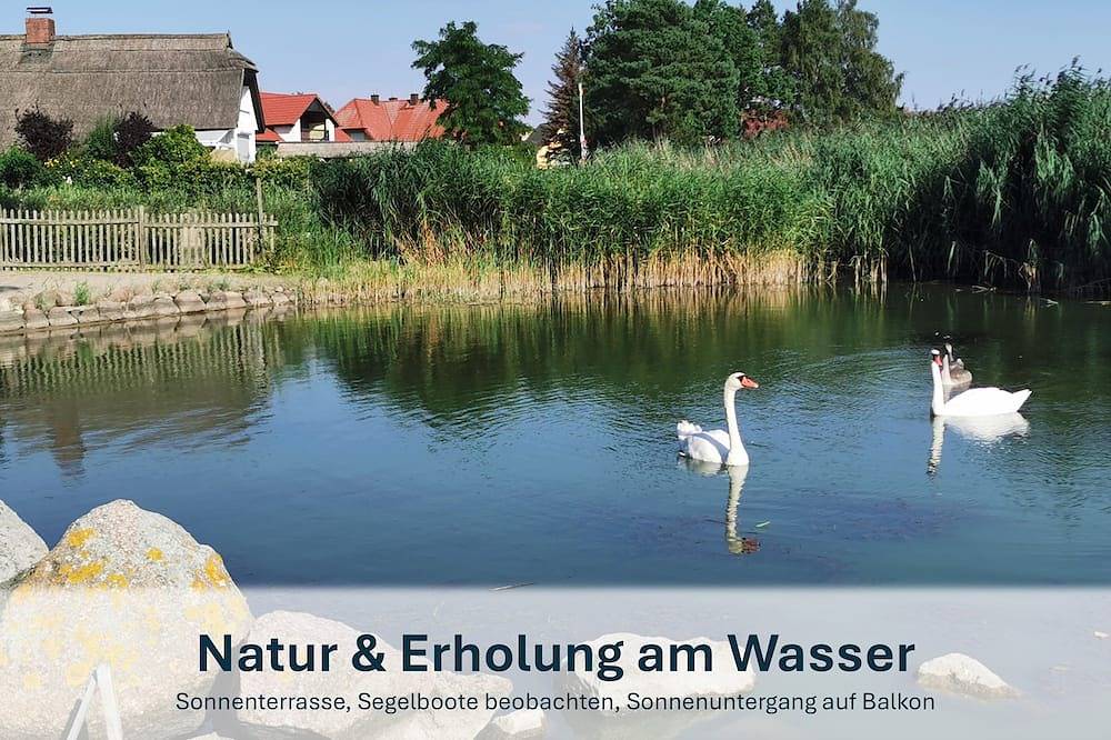 Ganze Wohnung, Paradies am Peenestrom ruhig, kleiner priv. Strand, Terrasse - Ziemitz - in Sauzin, Usedomer Norden