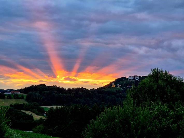 Hotel voor 4 personen, with uitzicht and tuin as well as zwembad, met huisdier in Oost-Steiermark
