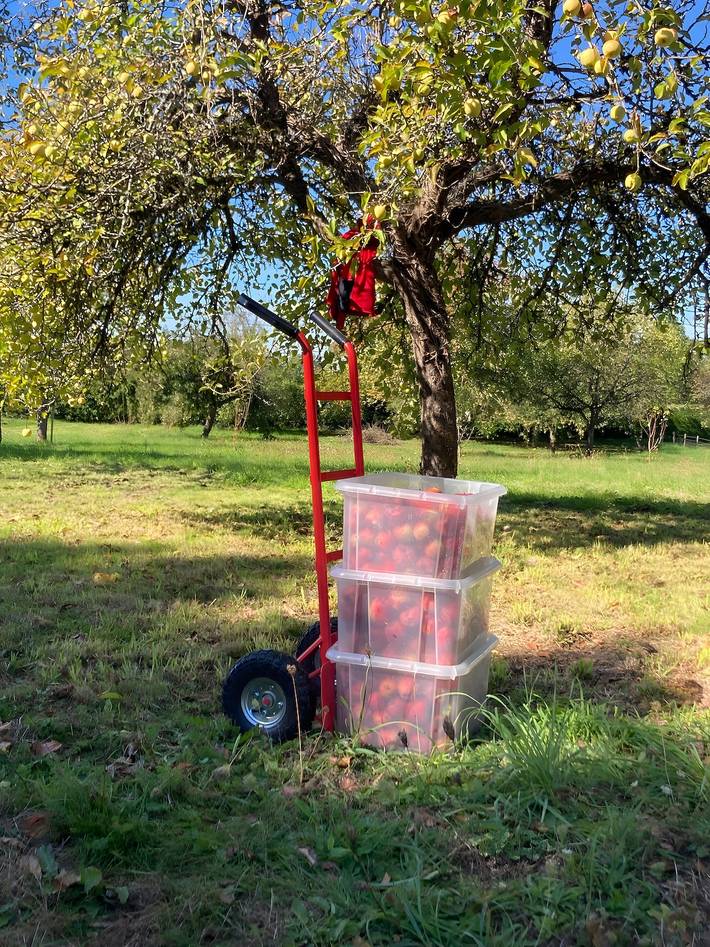 Location de vacances pour 8 personnes, avec jardin à Nantiat - 4