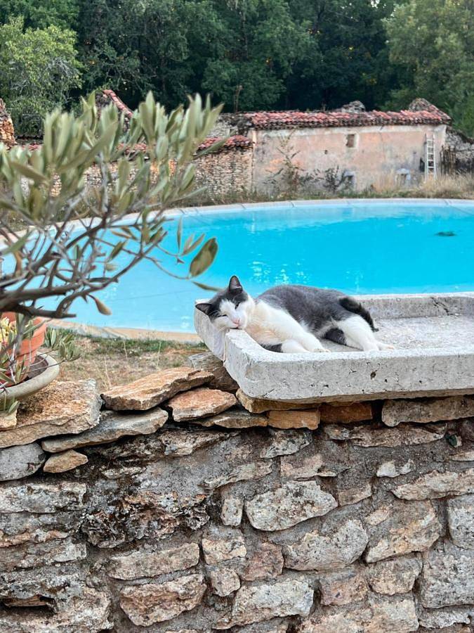 Aire Naturelle Camping Domaine de Mombret Haut in Duravel, Quercy