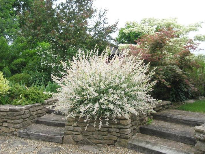 Location de vacances pour 6 personnes, avec vue et jardin, animaux acceptés à Malansac - 4