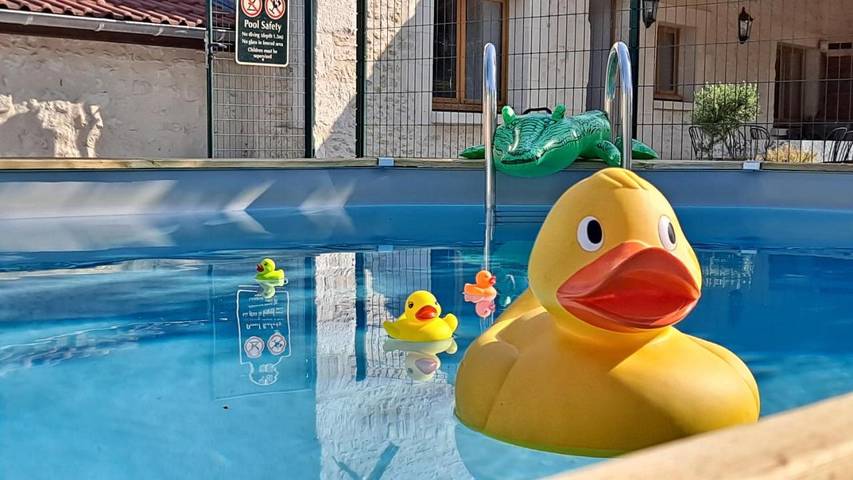 Location de vacances pour 14 personnes, avec Terrasse et Jardin ainsi que Piscine et Vue à Chaveignes