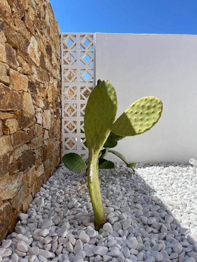 Kastro Antiparos in Antiparos Ville, Antiparos