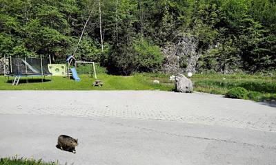 Bauernhaus für 4 Personen in Chiemgauer Alpen, Ruhpolding, Bild 1