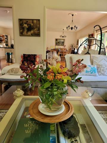 Holiday Rental for 12 People in Northland, Photo 4