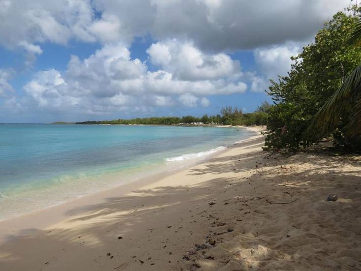 Location de vacances pour 2 personnes, avec jardin et vue, animaux acceptés dans Port-Louis Guadeloupe - 4