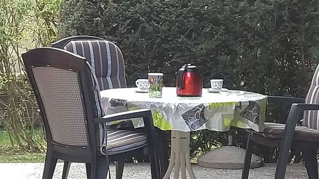 Ferienhaus für 2 Personen (40 m²) in Dargun in Dargun, Mecklenburgische Seenplatte