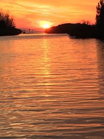 Camping for 6 Guests in Hudson, Pasco County, Picture 2