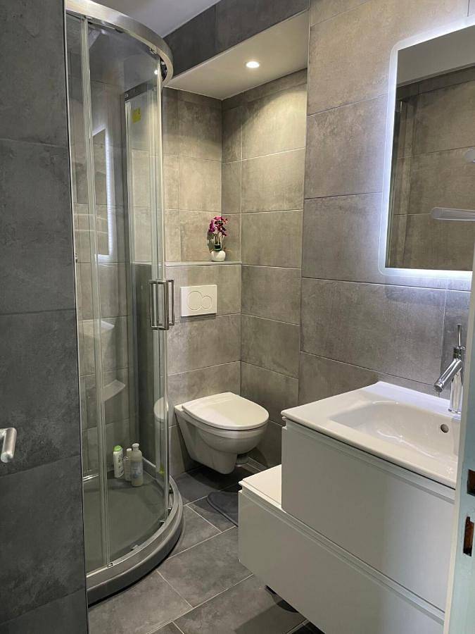 Gîte pour 4 personnes, avec terrasse à La Roche-sur-Foron - 2