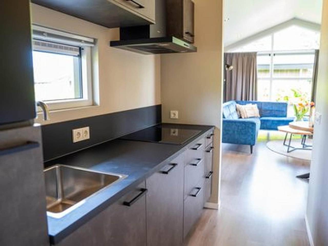 Chalet by Park Pond in the Netherlands in Veldhoven, North Brabant