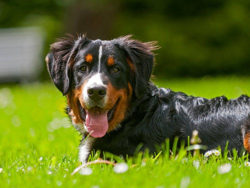 Nordseeferienhof Katthusen - Nordwohnung in Otterndorf, Cuxland