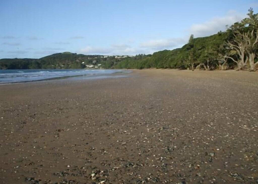 Echte Kiwi Bach 0420 in Northland