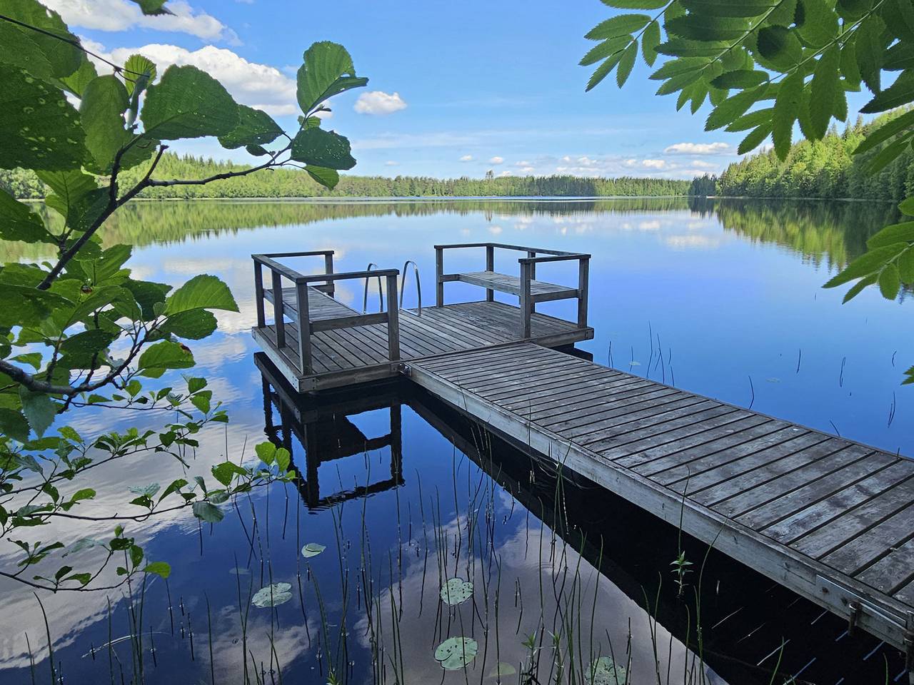 Villa rääpys in Leppävirta