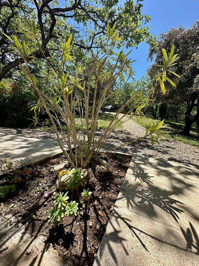 Maison d’hôte pour 2 personnes, avec piscine ainsi que terrasse et jardin à Venasque - 3