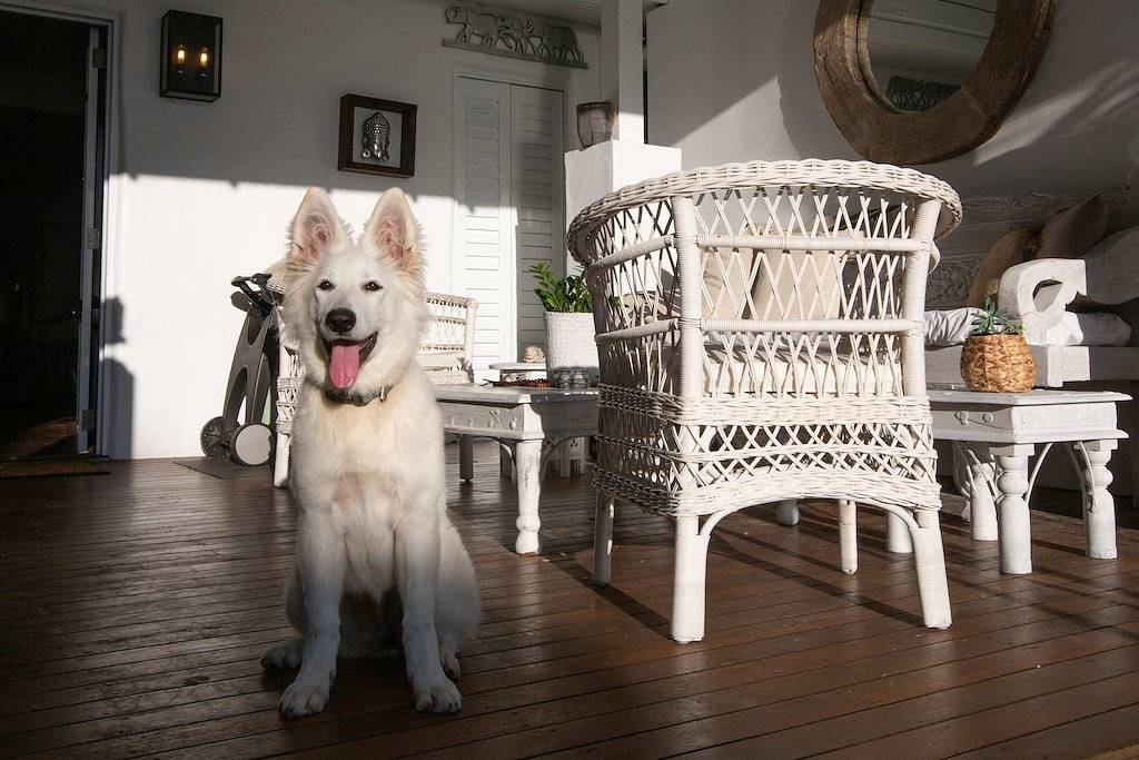 Mylara Beachfront Holiday Home- Beachfront Bliss at Holloways: Private Pool, Direct Beach Access & Tropical Luxury in Holloways Beach, Cairns