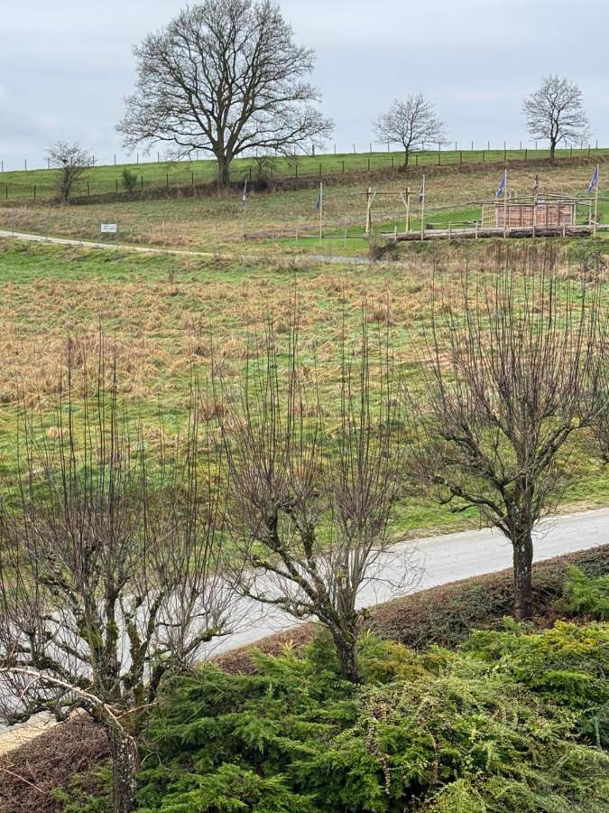 Location de vacances pour 12 personnes, avec terrasse et vue, animaux acceptés dans Wibrin - 4