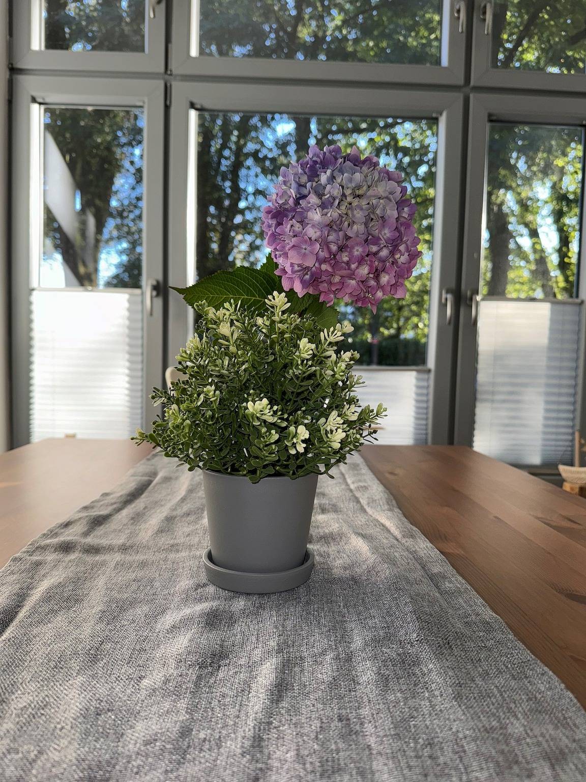 Ganze Ferienwohnung, Ferienwohnung Krähennest in Jever, Südliche Nordseeküste