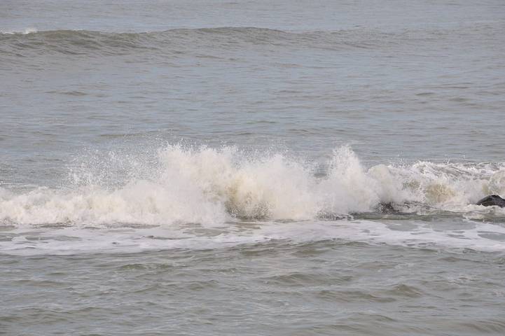 Mobil home pour 2 personnes à Saint-Vivien-de-Médoc - 4