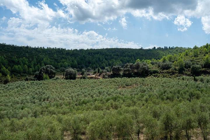 Chalet para 2 personas, con Terraza además de Jardín y Piscina en Vall de Cofrents - 2