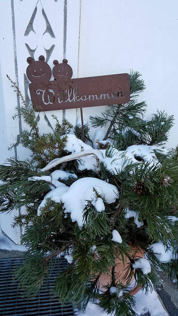 Ganze Ferienwohnung, Appartement in Vals, Zillertaler Alpen