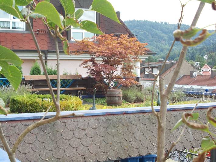 Ferienwohnung für 2 Personen, mit Terrasse und Garten in Baden-Baden - 4