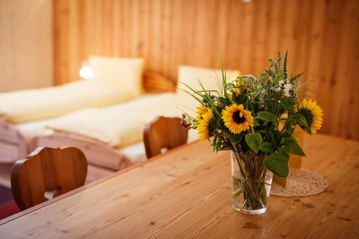 Hôtel pour 4 personnes, avec vue et terrasse, animaux acceptés dans Ulrichen - 4