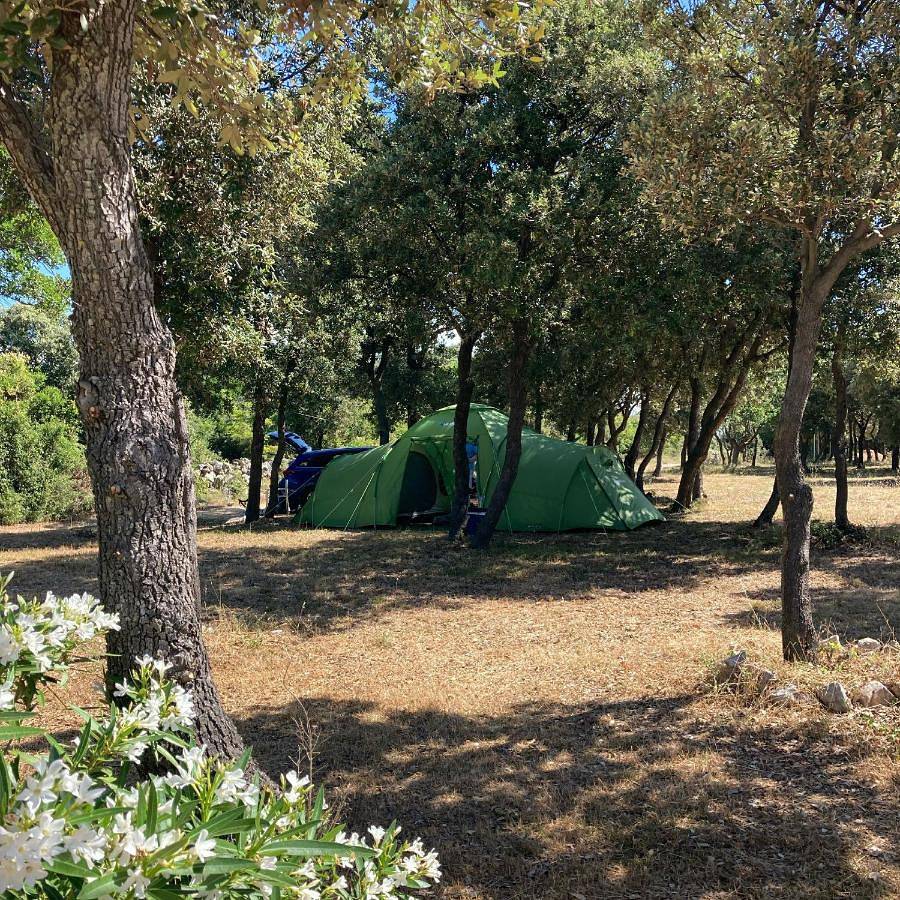 Camping Sugar in Mandre, Pag