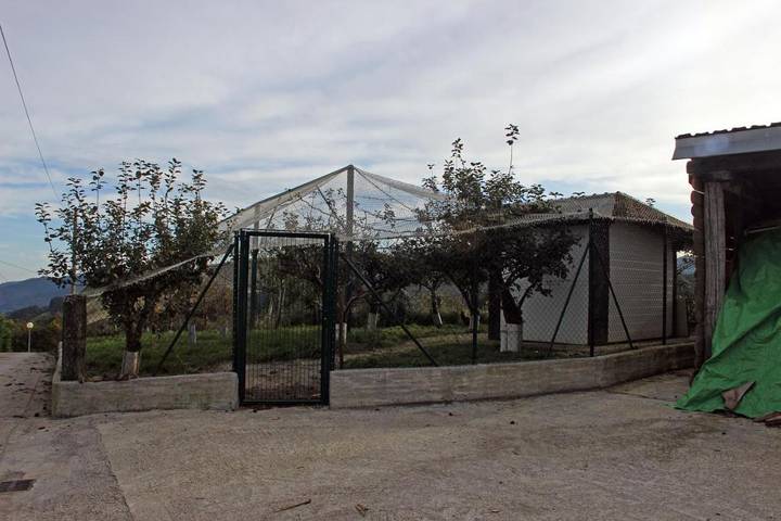 Casa rural para 6 personas, con vistas y jardín, Se admiten mascotas en Lea Artibai - 3