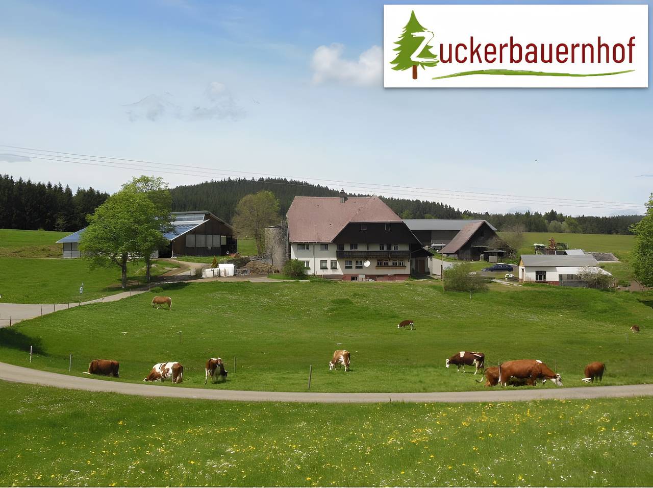 Ganze Wohnung, Ferienwohnung Weideblick Unterkunft mit Hund und Blick in die Natur, Sitzplatz im Garten mit Grill  in St. Georgen, Mittlerer Schwarzwald