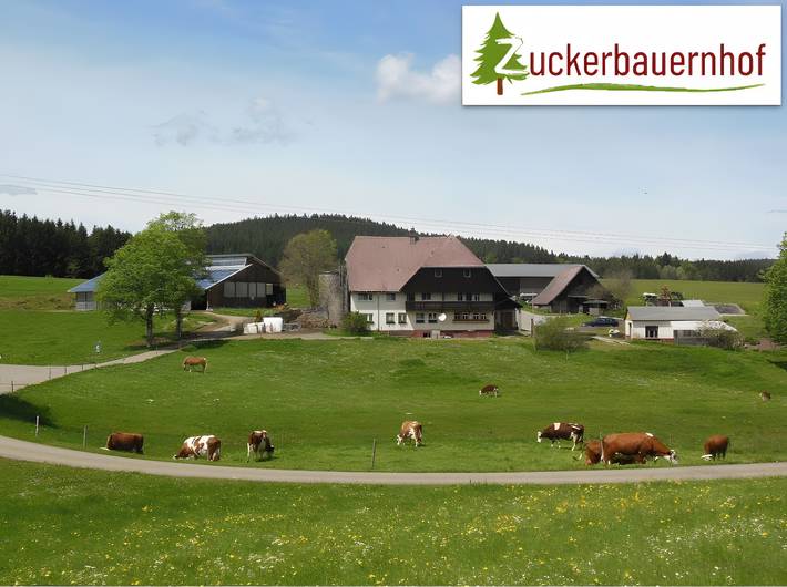 Ferienwohnung für 4 Personen, mit Garten in St. Georgen - 4