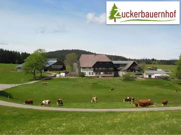 Ferienwohnung für 4 Personen in St. Georgen im Schwarzwald, Hochschwarzwald, Bild 3