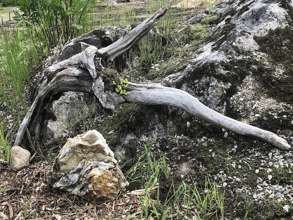 Discover Boho Bungalow: Peaceful and Relaxing Cabin with Breathtaking Views! in Whitewater Ski Resort