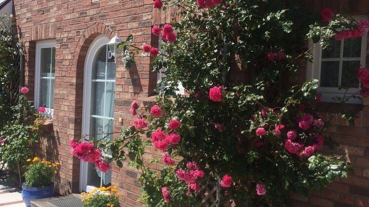 Ferienhaus für 1 Personen (95 m²) in Sylt-Ost in Tinnum, Sylt (Gemeinde)