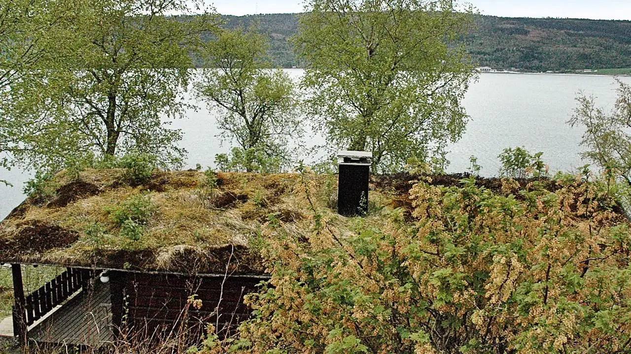 Ferienhaus für 4 Personen (44 m²) in Surnadalsøra in Surnadal, Nördliches Fjordnorwegen