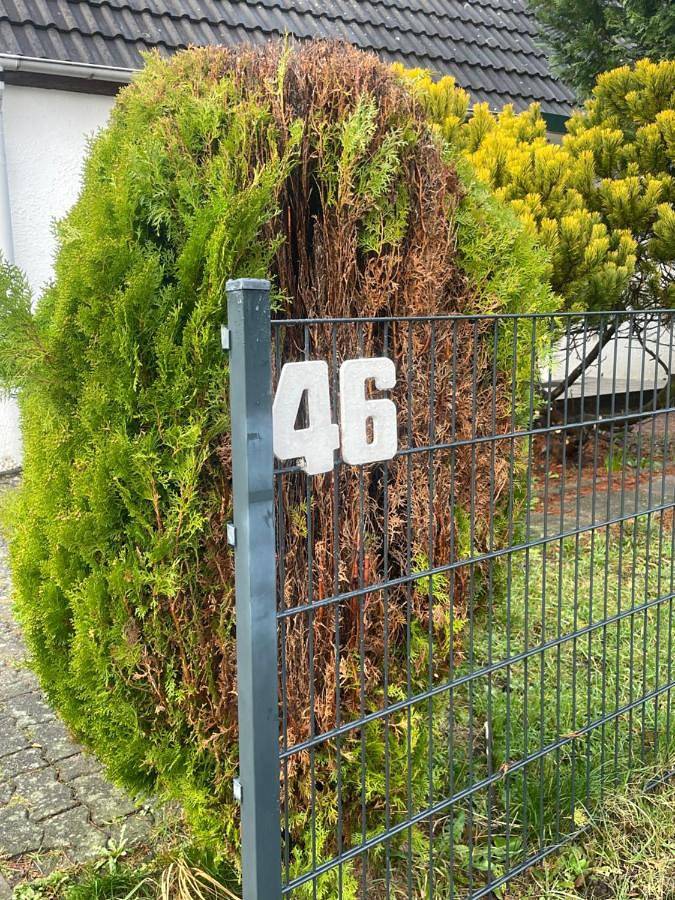 Chambre d’hôte pour 4 personnes, avec vue et jardin, adapté aux familles à Hambourg - 3