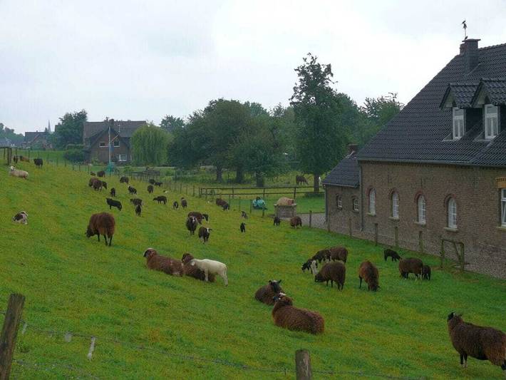 Storchennest & Landlust in Xanten, Kreis Wesel
