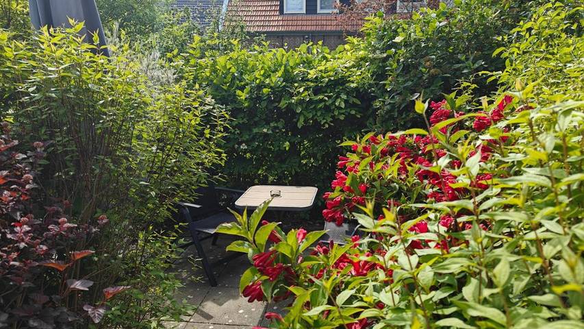 Maison d’hôte pour 2 personnes, avec jardin et vue à Dombourg - 4