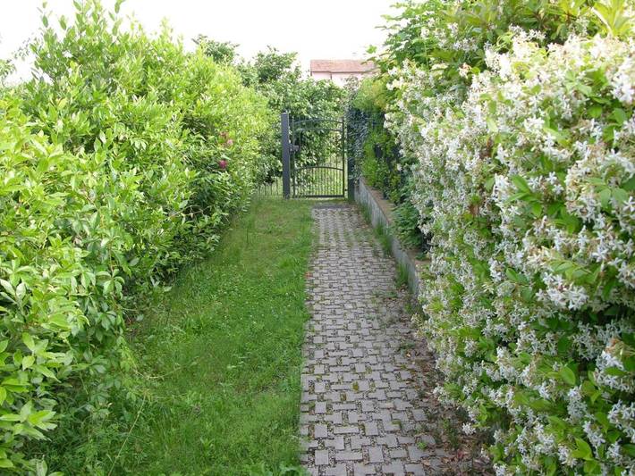 Gîte pour 4 personnes, avec piscine ainsi que terrasse et vue à Tuoro sul Trasimeno - 2