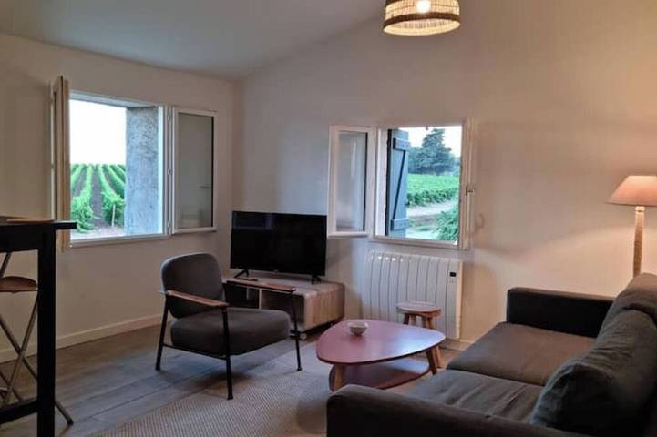 Appartement entier, Charmant T2 au cœur des vignes in Villeneuve-lès-Maguelone, Côte méditerranéenne (France)