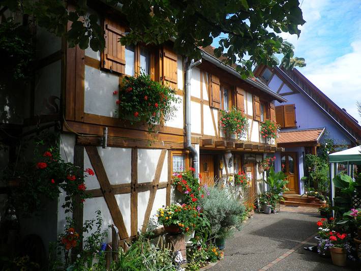 Gîte pour 4 personnes, avec terrasse à Kintzheim - 2