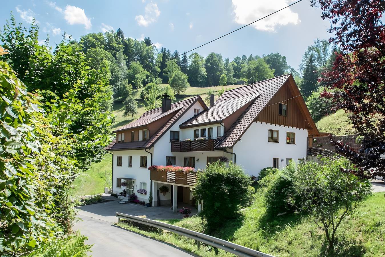 Ganze Wohnung, Gästehaus Resi - Ferienwohnung "Vergissmeinnicht" mit Bergblick, Gemeinschaftsterrasse und Wi-Fi in Bad Peterstal-Griesbach, Mittlerer Schwarzwald