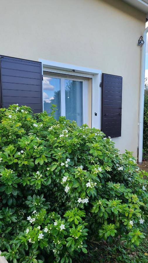 Location de vacances pour 6 personnes, avec jardin à Chaponost - 4