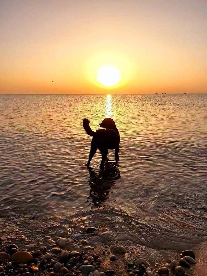 Apartamento de vacaciones para 4 personas, con jardín y vistas, Se admiten mascotas - 1