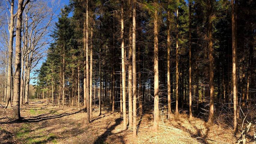 Ferienhaus für 9 Personen, mit Garten auf Seeland - 4
