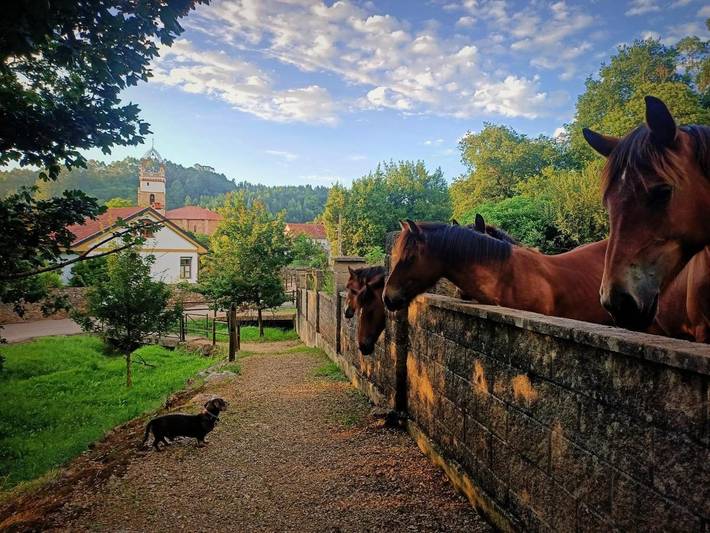 Gîte pour 2 personnes, avec vue et terrasse, animaux acceptés dans Novales - 3