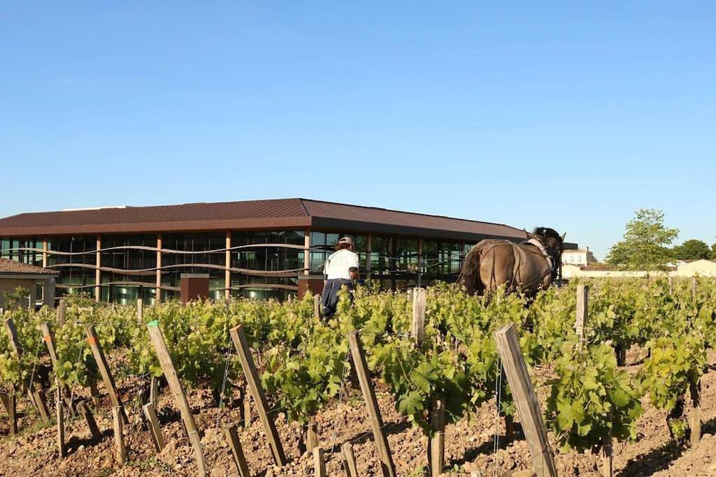 Appartement entier, Bel appartement en pierre de 88 M2 charme d’antan in Margaux-Cantenac, Parc naturel régional du Médoc