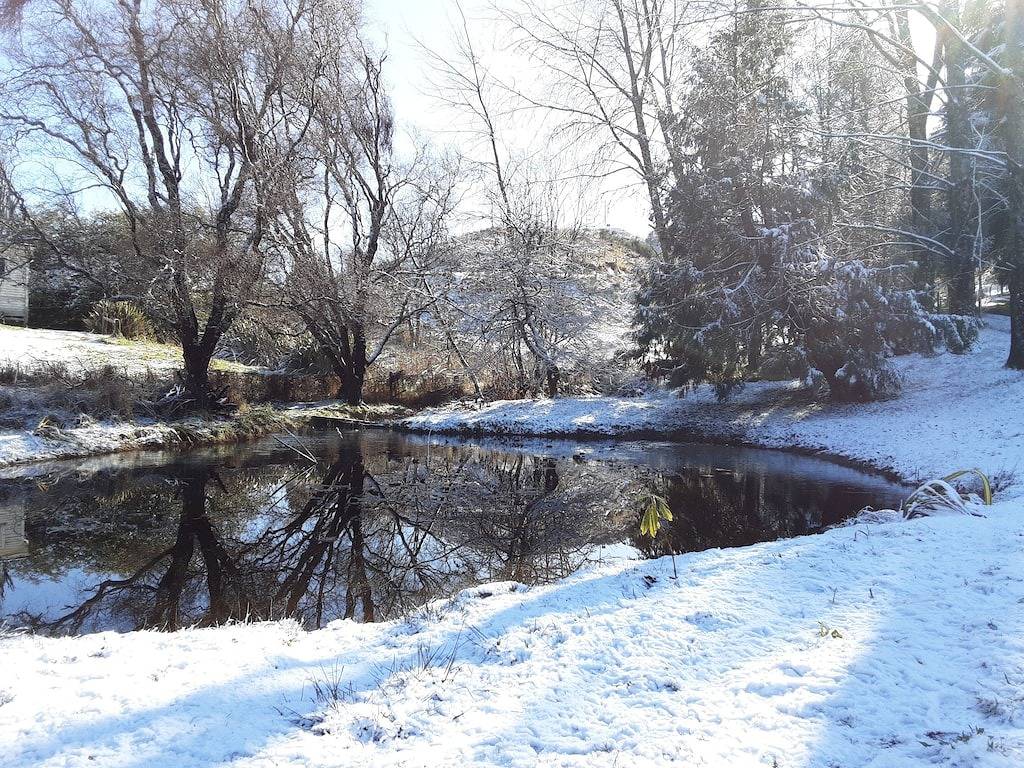 Authentische Naturstammhaus in Ruapehu District