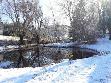 Lodge for 10 People in Manawatu-Wanganui, Photo 3