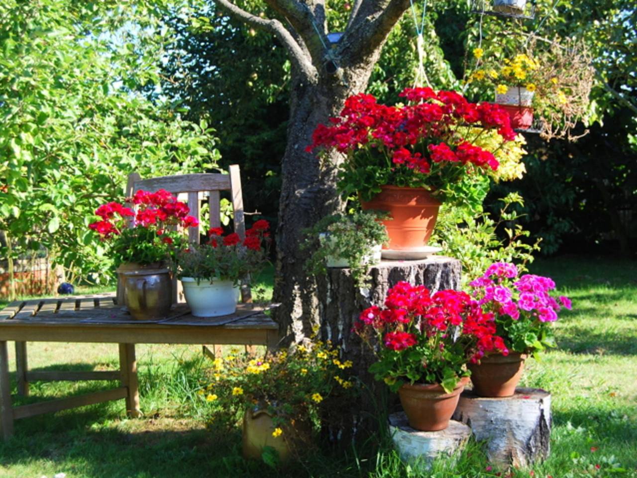 Ganze Ferienwohnung, Ferienhaus mit großem Garten - Ferienbungalow in Bodstedt, Fuhlendorf
